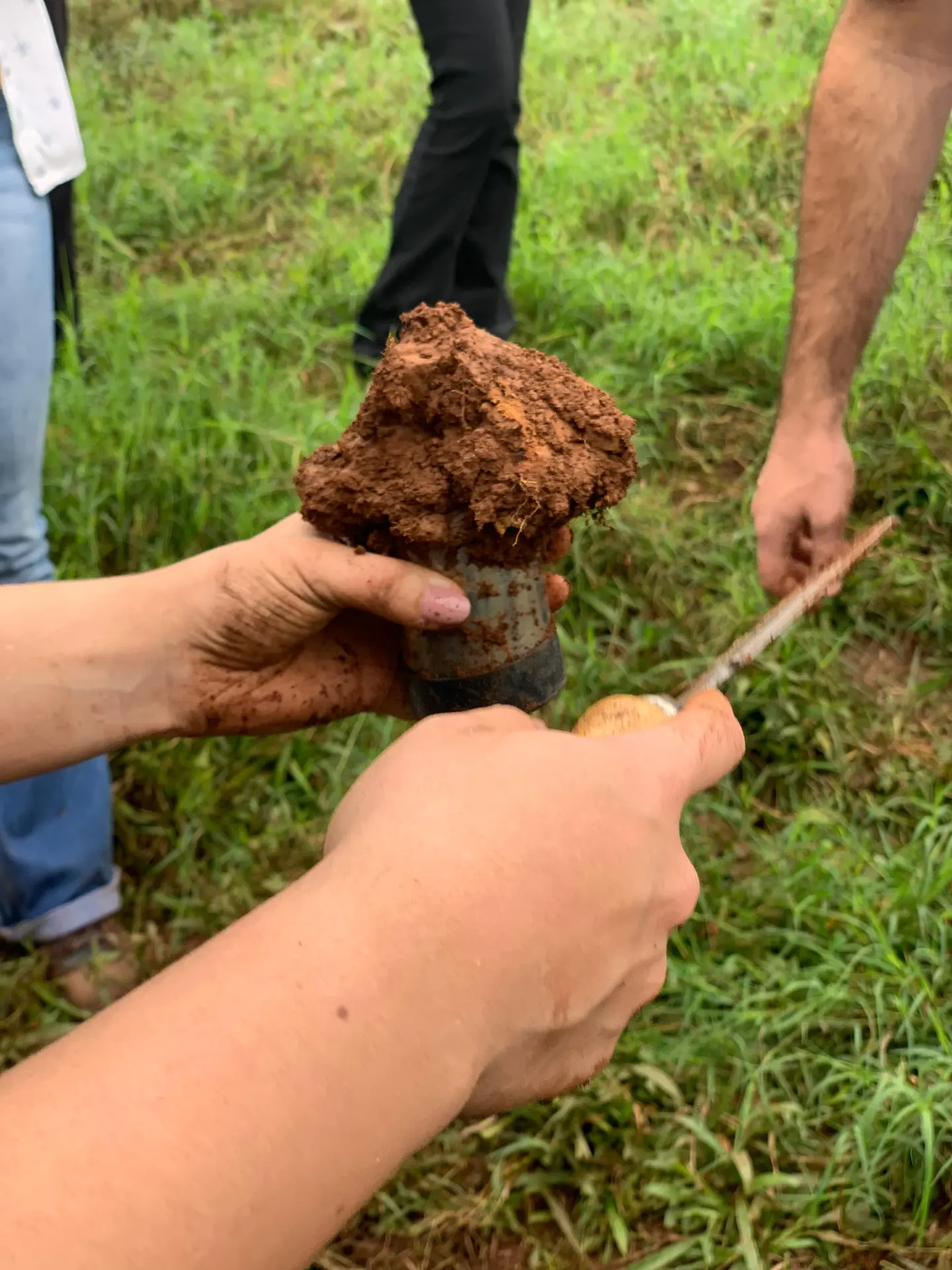 Curso de Mensuração de Carbono na Agropecuária forma 30 colaboradores de cooperativas