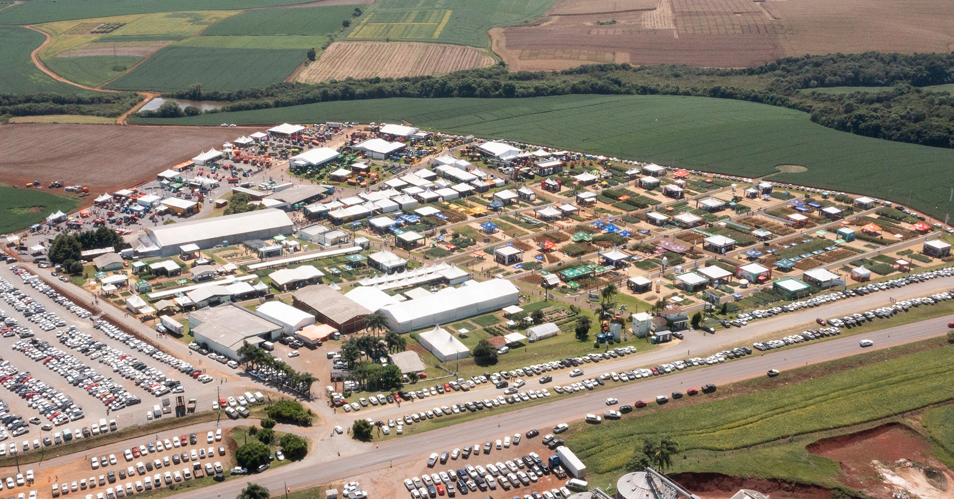 Camisetas que plantam o Futuro: Copercampos alia sustentabilidade e inclusão social em ação ambiental