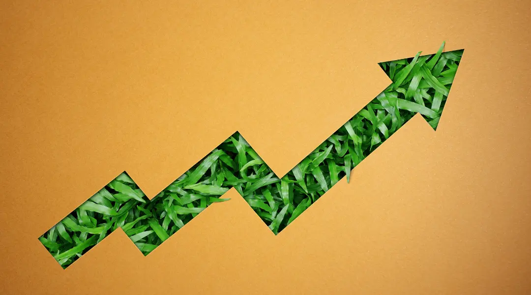 Sicredi está entre as empresas de melhor reputação em Responsabilidade ESG