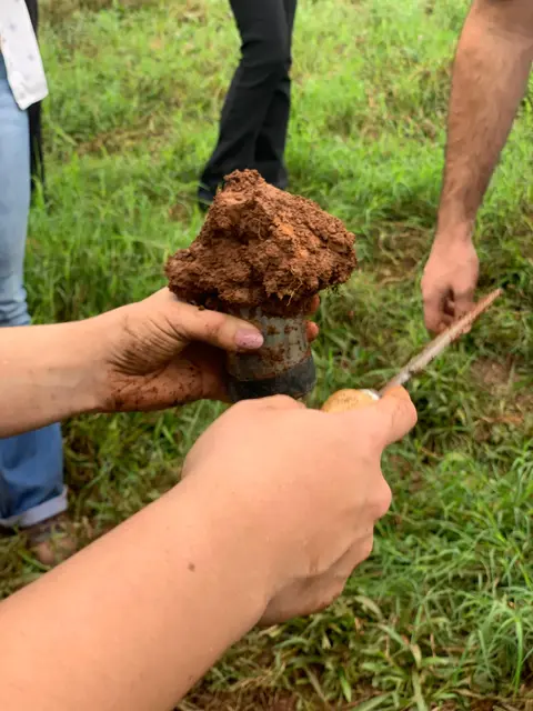 Curso de Mensuração de Carbono na Agropecuária forma 30 colaboradores de cooperativas