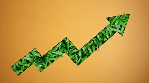 Sicredi está entre as empresas de melhor reputação em Responsabilidade ESG